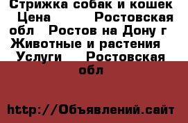 Стрижка собак и кошек › Цена ­ 800 - Ростовская обл., Ростов-на-Дону г. Животные и растения » Услуги   . Ростовская обл.